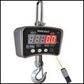 ANYLOAD CRANE SCALES
