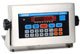 DORAN 2200 DIGITAL WEIGHT INDICATOR