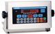 DORAN 2200B DIGITAL WEIGHT INDICATOR