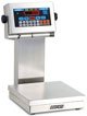 DORAN 2200CW STAINLESS STEEL CHECKWEIGH SCALE (2 to 200 lb)
