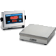 DORAN 8000XL RECHARGEABLE BATTERY BENCH SCALE (2 to 200 lb)