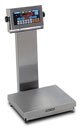 DORAN APS2200CWSP SUPER PRECISION RESOLUTION BENCH SCALE (50 to 1000 lb)