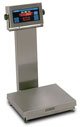 DORAN APS4300SP CHECKWEIGH SCALE - SUPER PRECISION RESOLUTION (50 to 1000 lb)