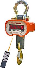 ANYLOAD CSAE/CSAC CRANE SCALE (2 to 30K lb)