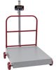 TOR-REY EQM/EQB-I SERIES RECEIVING SCALE (100lb to 2000lb)