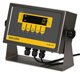 DILLON FI-80 FORCE INDICATOR FAMILY (LCD, LED)