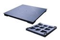 ANYLOAD FSP FLOOR SCALE (1000lb to 10000lb)
