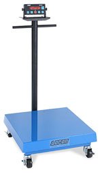 ./images//P/DCS-Bascula_de_Suelo_Doran_p.jpg
