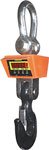 ANYLOAD CSCE CRANE SCALE (20 to 100K lb)